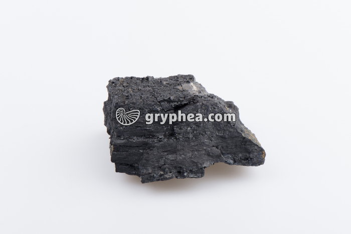 Lignite - gryphea.org